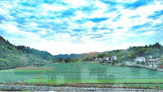 湖南沅陵莲花池村：护住乡土 留住乡愁 造福乡亲