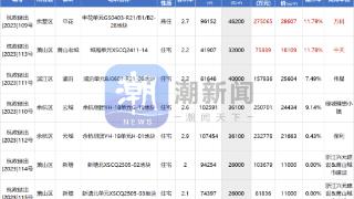 第九批土拍落幕：万科“中奖”申花最后一宗宝地！中天摇到城厢