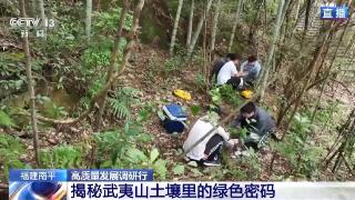 土壤会“呼吸”、空气能卖钱……武夷山生态保护有啥秘诀？