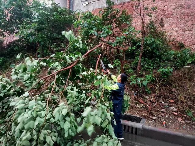 漯河市城市管理局“智慧”排涝确保城市安全度汛