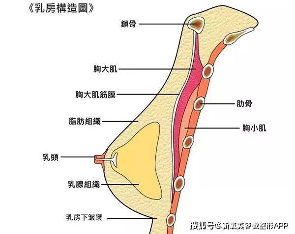 她也算是老天爷追着喂饭的代表了吧，啥也不干也能被全网捧着登顶…