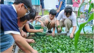 浙江吴兴：劳动实践助力学生脱贫致富