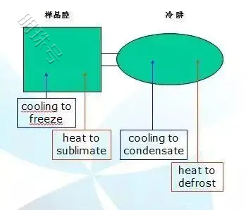 冷冻干燥的是一种什么样的黑科技以及优越性