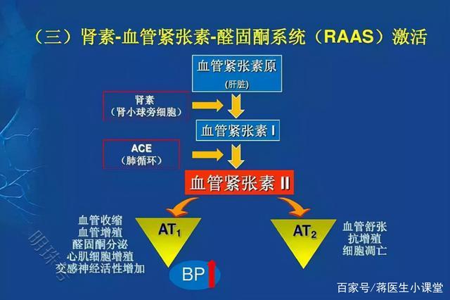 高血压患者都能打高血压疫苗吗？一文了解下