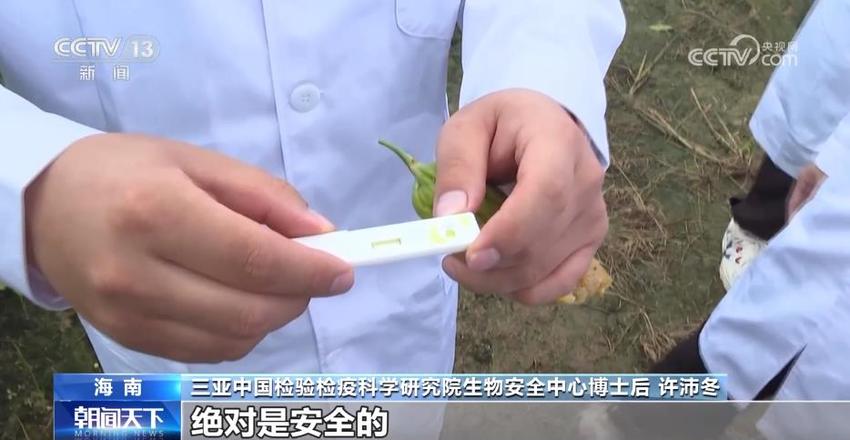 守好粮食安全关口 他们用科学知识筑起一道生物安全防线