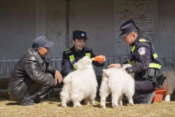 内蒙古自治区首个“戍边夫妻警务室”成立