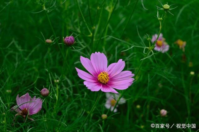 中年女人，越活越“精致”的三个迹象