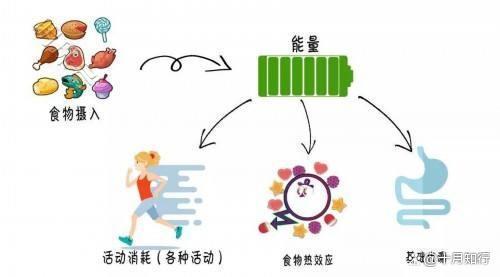 在减脂过程中，我们应该如何看待平台期呢？不妨看看