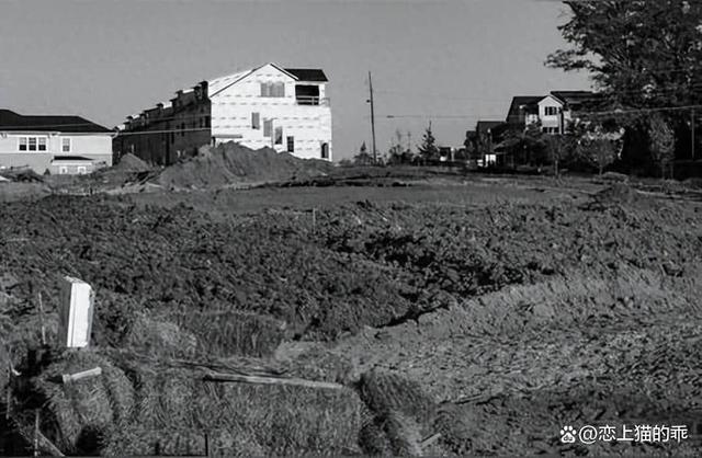 75年师范毕业，和相亲姑娘见面我很失望拔腿就走