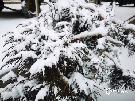 中东部降雪持续，雪灾有哪些种类和危害？如何防御？