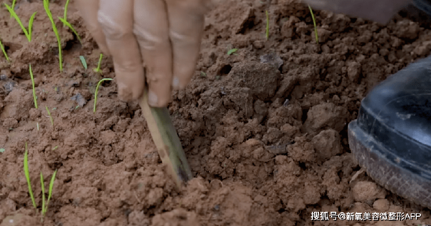 退圈后还疯狂涨粉，姐在内娱无代餐靠这点？