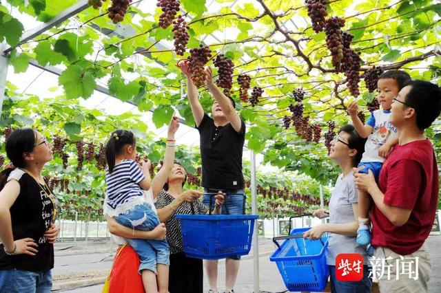 太仓市串联“美丽农村路+生态”助力乡村振兴