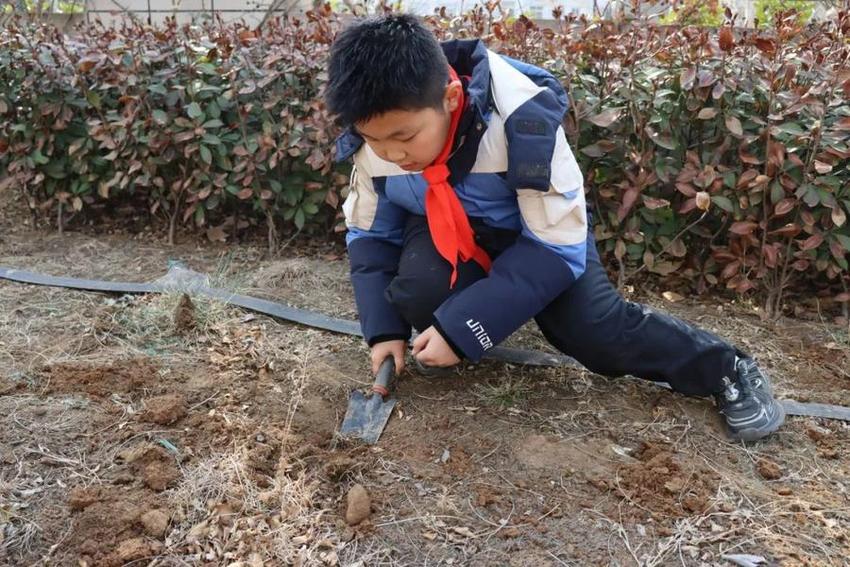 龙抬头·农耕情·劳动美——济南高新区康虹路小学春耕节活动