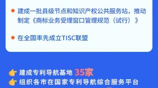 一图读懂 | 2024年以来安徽省知识产权公共服务工作