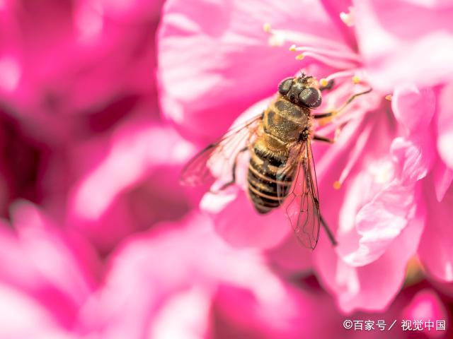 到了晚年，才看清：想要儿女孝顺，作为父母不能做这两件事