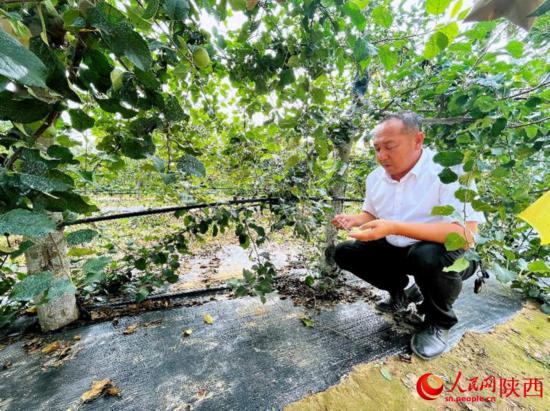 跟着总书记看中国丨山沟沟里日子越过越红火