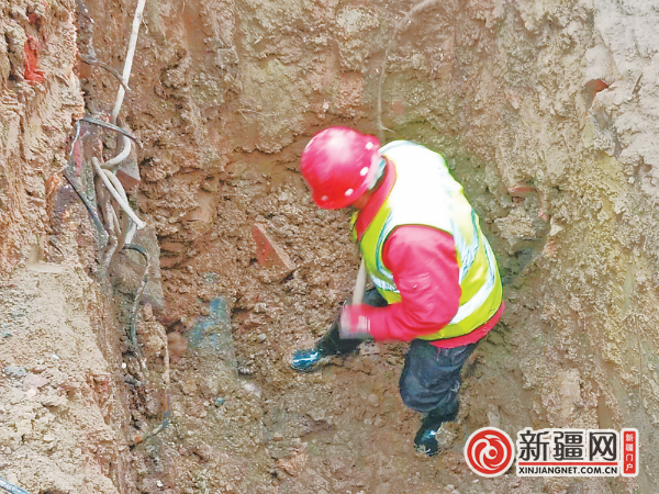 【新春走基层】振奋龙马精神 只为万家团圆——乌鲁木齐春节保供一线见闻