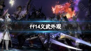 《ff14》义武外观一览