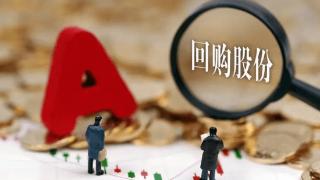 真金白银大手笔 年内已有43家北交所公司发布股份回购方案