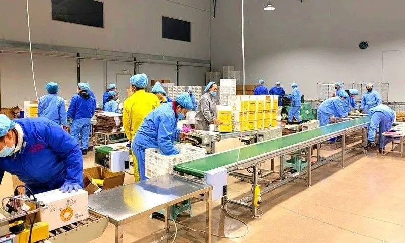 安图经济开发区医药食品产业园一季度实现“开门红”