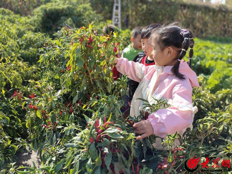 利津县第二实验幼儿园悦享丰收