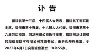 网龙执行董事郑辉突发疾病逝世，享年55岁