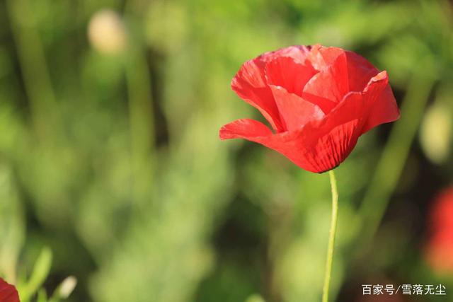 夫妻要想感情好，除了多付出，还要在一些事上有“眼色”