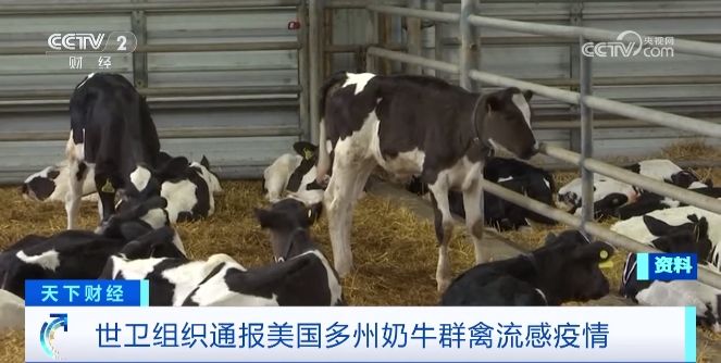 美国首例感染！世卫组织通报多州甲型H5N1禽流感疫情