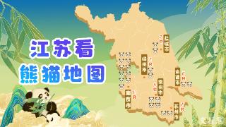 叮！“江苏看熊猫地图”请您查收，最多的点有8只