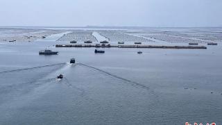 中国加强陆海统筹与协同共治海洋生态环境