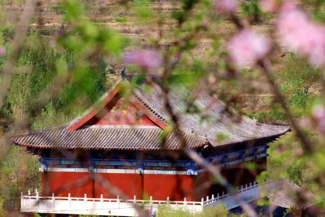 人间四月芳菲尽，山寺桃花始盛开，青阳不远邀您来