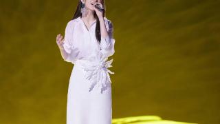 杨丞琳回应被《歌手2024》淘汰：一趟开心的旅程