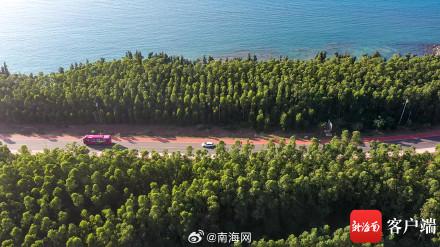 海南环岛旅游公路全线通车新建和改建段535公里