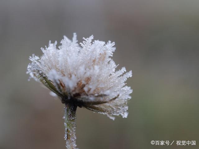 有钱人，为什么越来越喜欢回乡下养老？