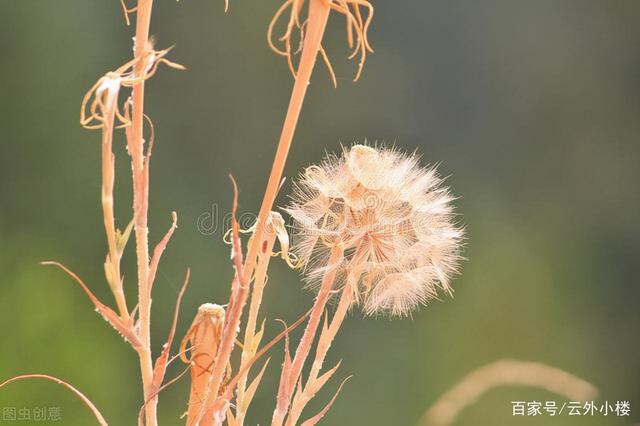 退休阿姨坦言：人生后半段，越是舍得这样做，余生就会越幸福