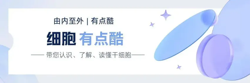 血液净化 | 为什么要做血液排毒净化，血液净化的作用是什么？