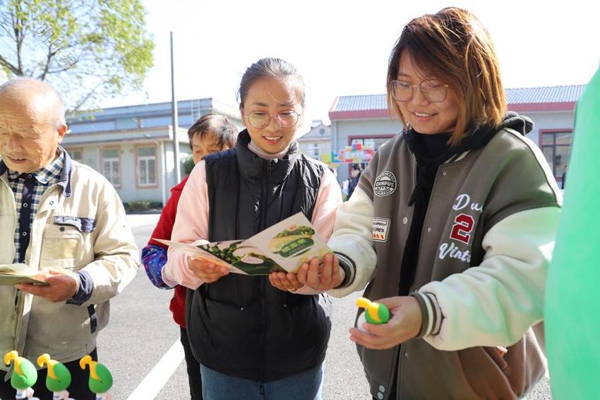 枫泾镇推动周边片区整体转型提升 …