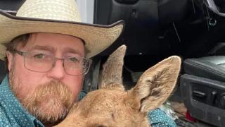 为帮野生小驼鹿逃离黑熊，加拿大男子开车救小鹿，却被公司解雇了