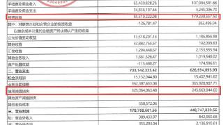 红塔银行上半年净利2.04亿 计提信用减值损失3.25亿