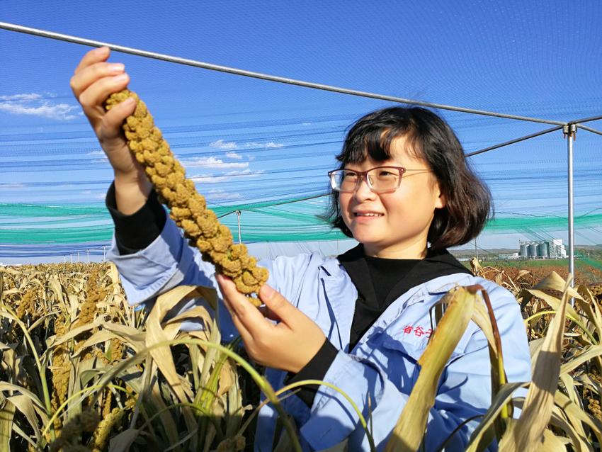 闪光青年有模Young丨“粟”说一粒小米的强“芯”路