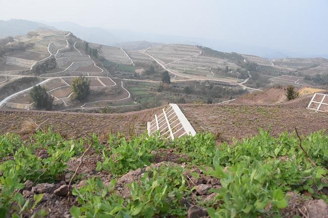 历经6个月紧张施工 自贡荣县3万亩瘠薄地变粮田