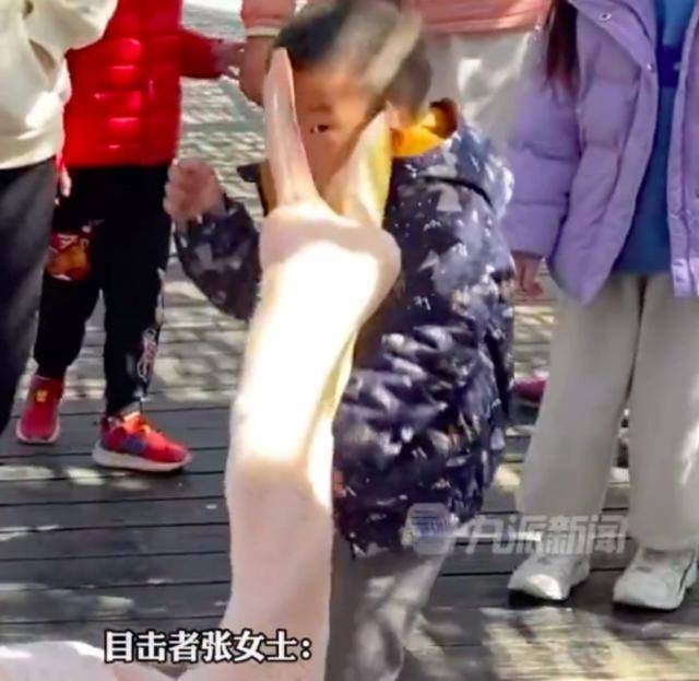 “鹈鹕灌顶”！男孩逛景区被鹈鹕大嘴夹住脑袋，目击者：孩子没有抓它，事后也没哭，就是有点懵