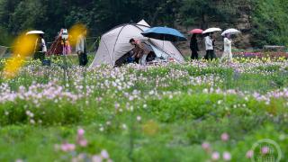 五一小长假露营经济持续升温 激发旅游新活力