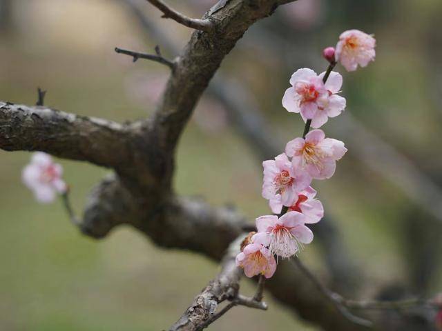 一个人的“发达路”，从舍弃开始