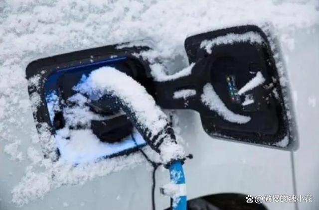 东北一场大雪，新能源汽车“原形毕露”，开暖风竟然成为奢侈！