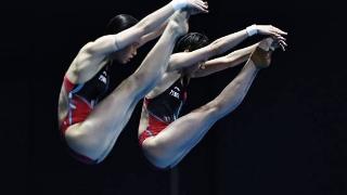 福冈游泳世锦赛过半 中国跳水队展现统治力