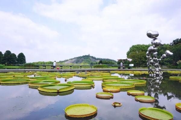 3月8日，上海这些地方免费开放！