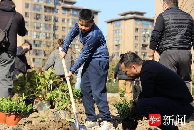 南京玄武环境集团组织“整点小树”植树活动