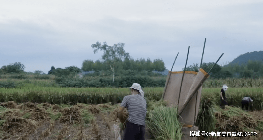 退圈后还疯狂涨粉，姐在内娱无代餐靠这点？