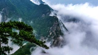 遂川县新盛旅游：整合旅游资源，打造“衣食住行”旅游服务平台